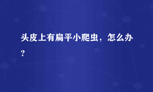 头皮上有扁平小爬虫，怎么办？