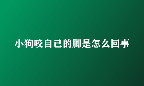 小狗咬自己的脚是怎么回事