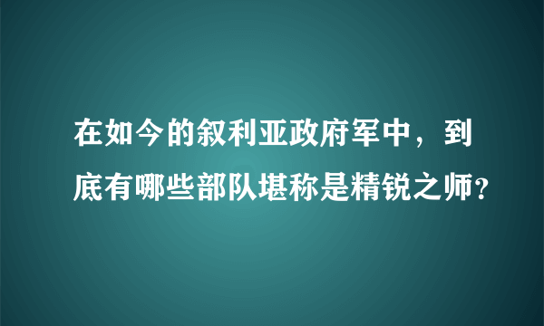 在如今的叙利亚政府军中，到底有哪些部队堪称是精锐之师？