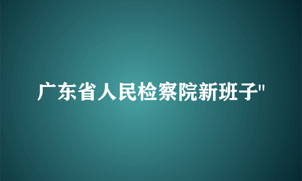 广东省人民检察院新班子