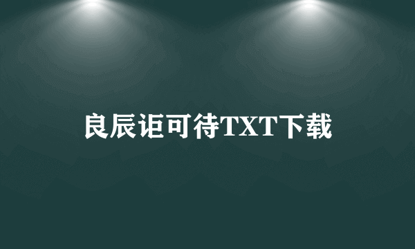 良辰讵可待TXT下载