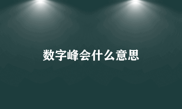 数字峰会什么意思