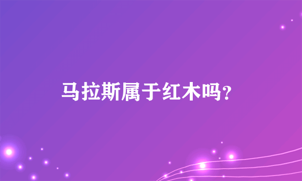 马拉斯属于红木吗？