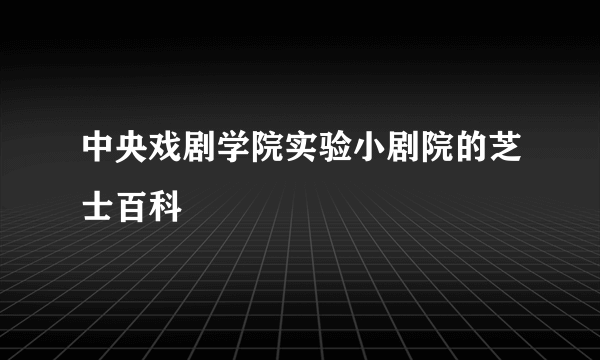 中央戏剧学院实验小剧院的芝士百科