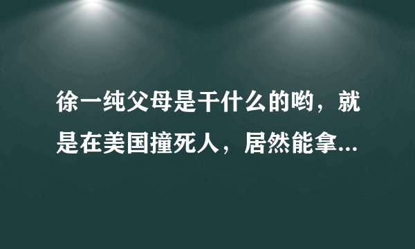 徐一纯父母是干什么的哟，就是在美国撞死人，居然能拿出1000万保释金那个，家里也太有钱了吧，