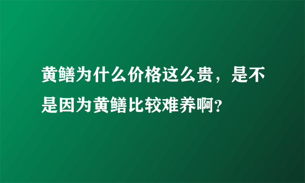 黄鳝为什么价格这么贵，是不是因为黄鳝比较难养啊？