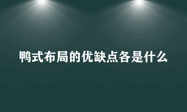 鸭式布局的优缺点各是什么