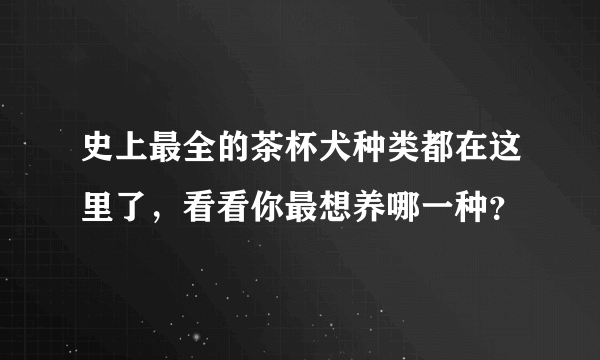 史上最全的茶杯犬种类都在这里了，看看你最想养哪一种？