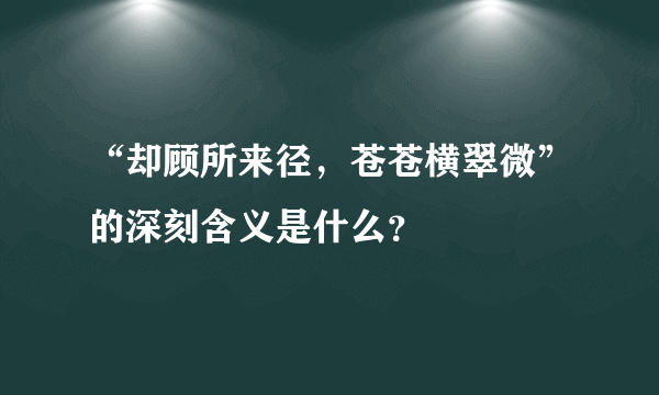 “却顾所来径，苍苍横翠微”的深刻含义是什么？