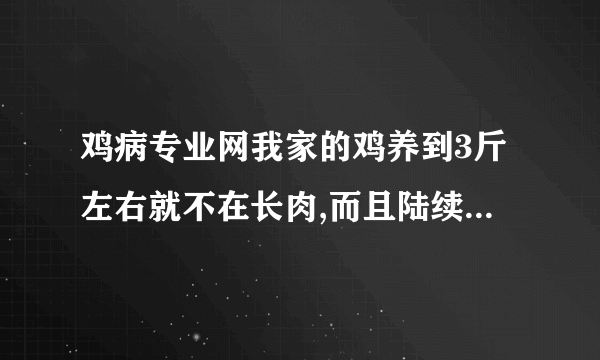 鸡病专业网我家的鸡养到3斤左右就不在长肉,而且陆续死掉,是怎么回事啊??/