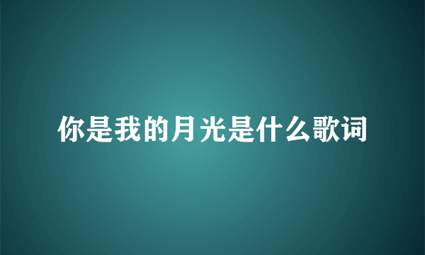 你是我的月光是什么歌词