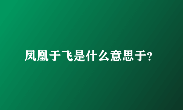 凤凰于飞是什么意思于？