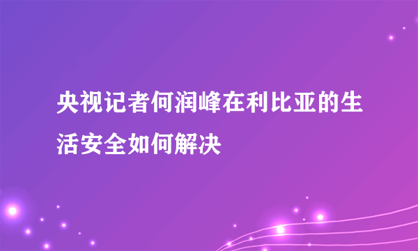 央视记者何润峰在利比亚的生活安全如何解决