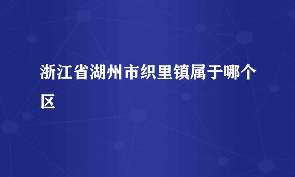 浙江省湖州市织里镇属于哪个区