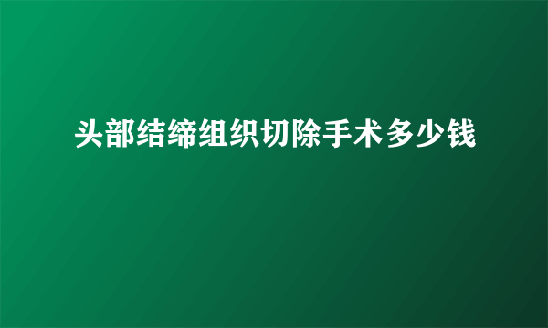 头部结缔组织切除手术多少钱