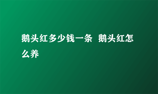 鹅头红多少钱一条  鹅头红怎么养