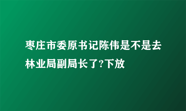 枣庄市委原书记陈伟是不是去林业局副局长了?下放