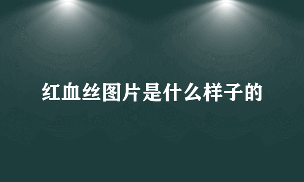 红血丝图片是什么样子的