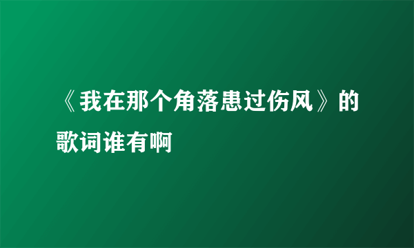 《我在那个角落患过伤风》的歌词谁有啊