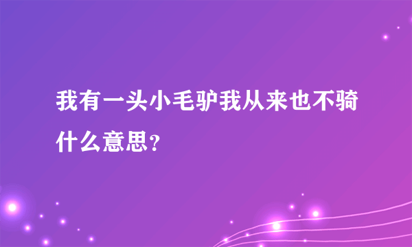 我有一头小毛驴我从来也不骑什么意思？