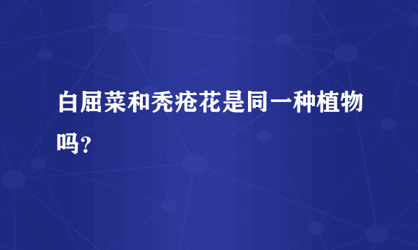 白屈菜和秃疮花是同一种植物吗？