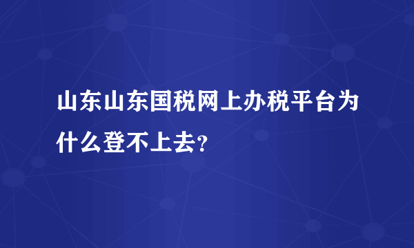 山东山东国税网上办税平台为什么登不上去？