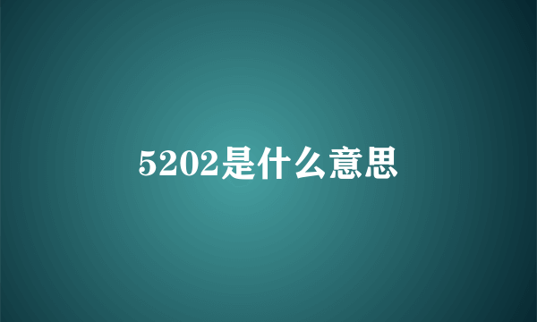 5202是什么意思