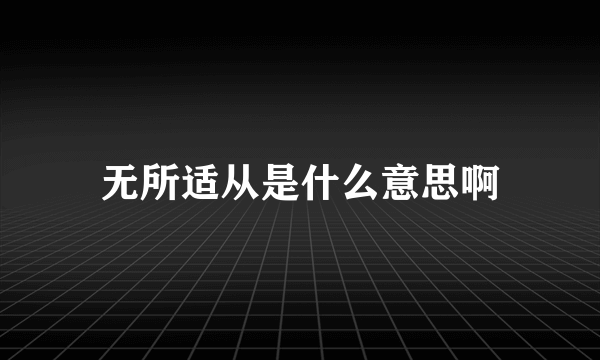 无所适从是什么意思啊