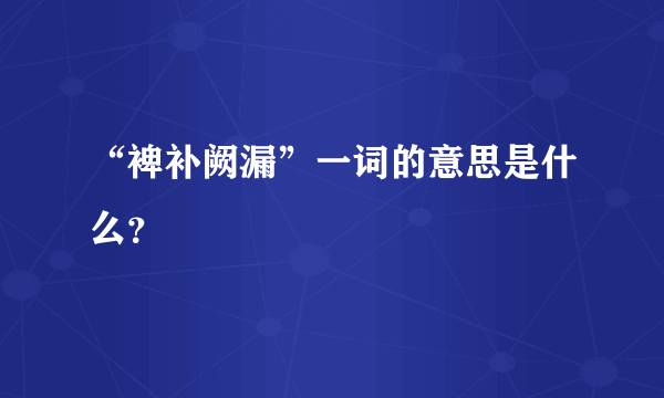 “裨补阙漏”一词的意思是什么？