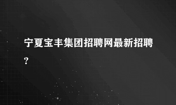 宁夏宝丰集团招聘网最新招聘？