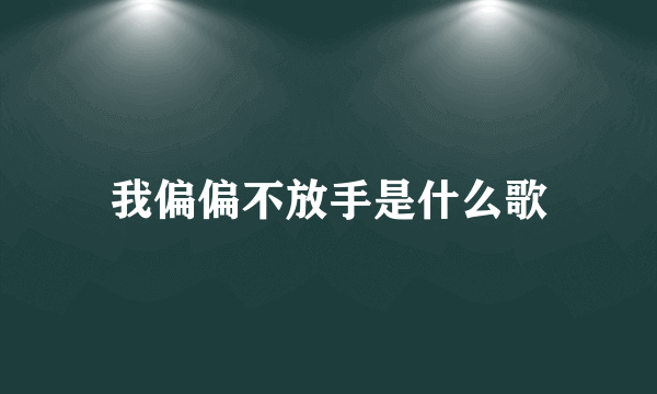 我偏偏不放手是什么歌