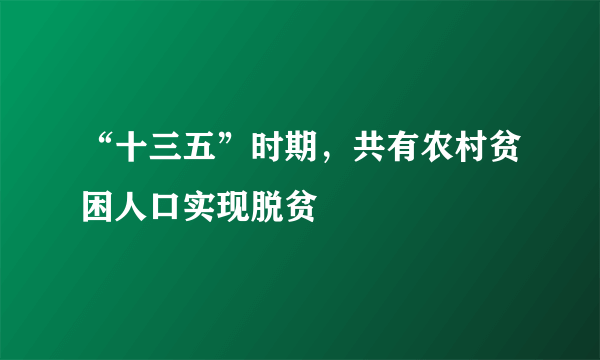 “十三五”时期，共有农村贫困人口实现脱贫