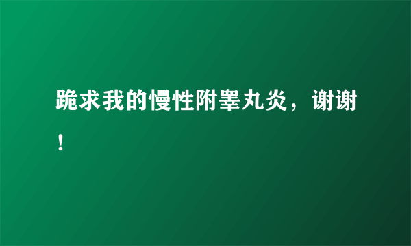 跪求我的慢性附睾丸炎，谢谢！