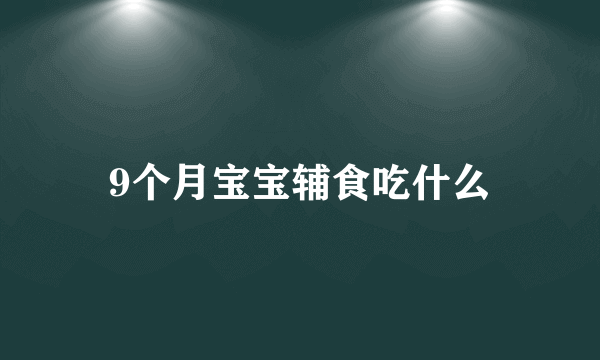 9个月宝宝辅食吃什么