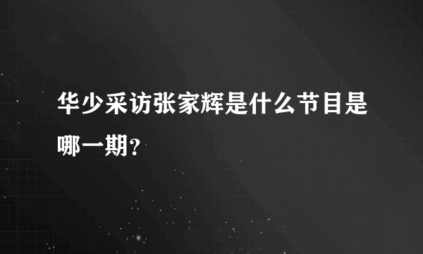 华少采访张家辉是什么节目是哪一期？