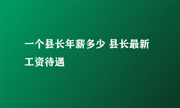 一个县长年薪多少 县长最新工资待遇