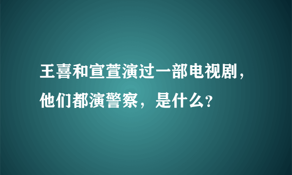 王喜和宣萱演过一部电视剧，他们都演警察，是什么？