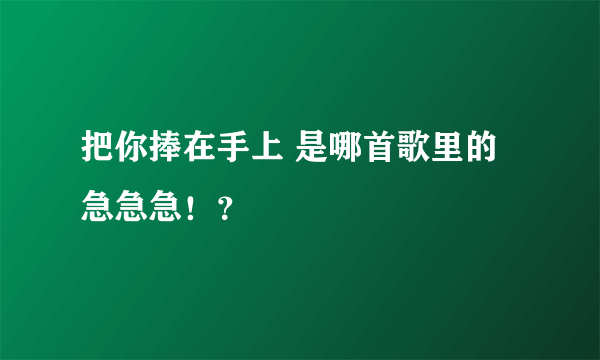 把你捧在手上 是哪首歌里的急急急！？