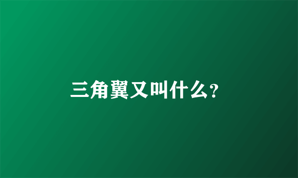 三角翼又叫什么？