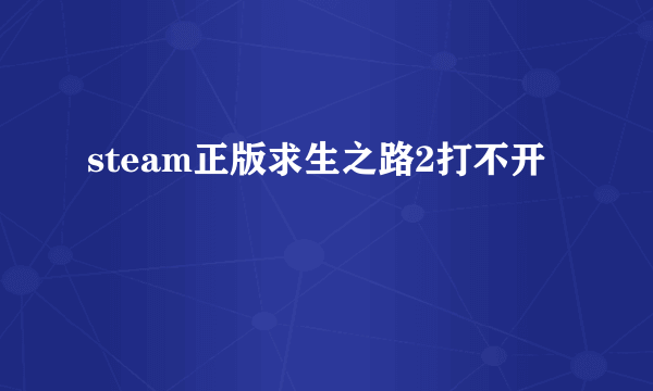 steam正版求生之路2打不开