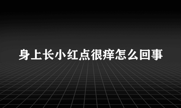 身上长小红点很痒怎么回事