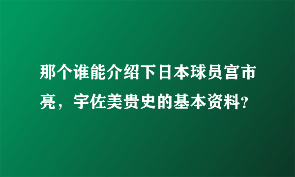 那个谁能介绍下日本球员宫市亮，宇佐美贵史的基本资料？