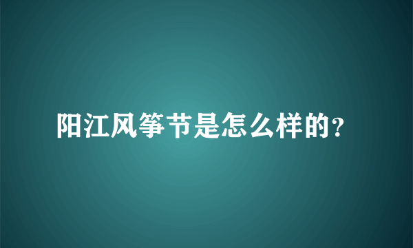 阳江风筝节是怎么样的？