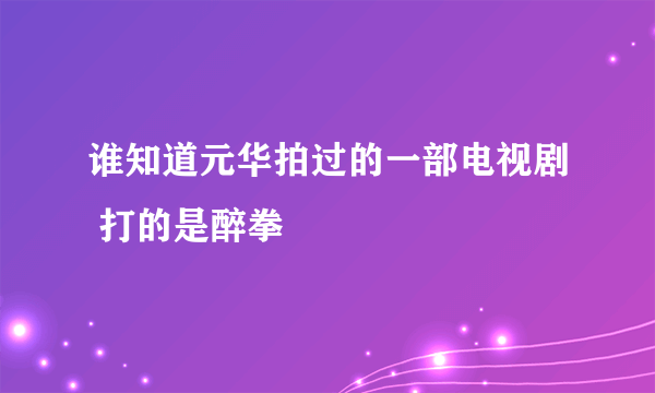 谁知道元华拍过的一部电视剧 打的是醉拳