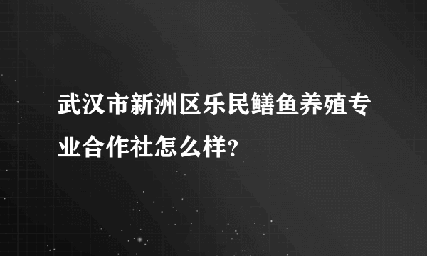 武汉市新洲区乐民鳝鱼养殖专业合作社怎么样？