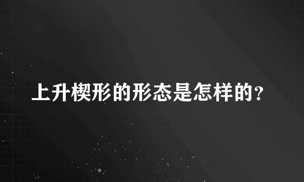 上升楔形的形态是怎样的？