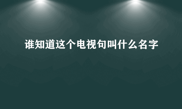 谁知道这个电视句叫什么名字