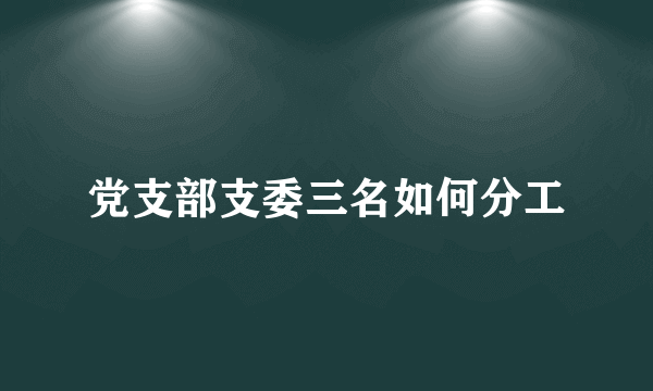 党支部支委三名如何分工