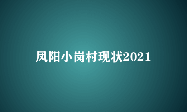 凤阳小岗村现状2021