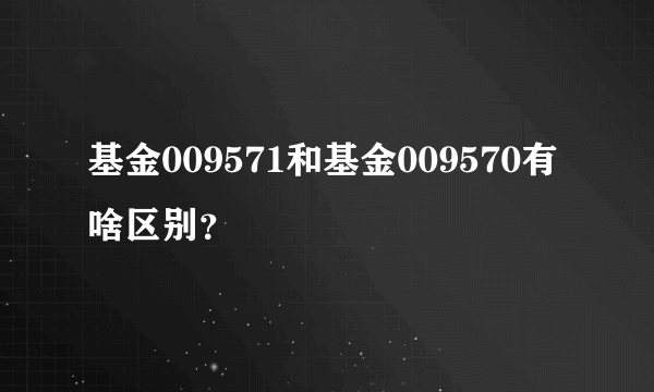 基金009571和基金009570有啥区别？